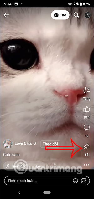 Chia sẻ video Facebook Reels