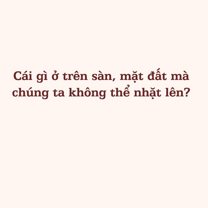 Câu đố 4