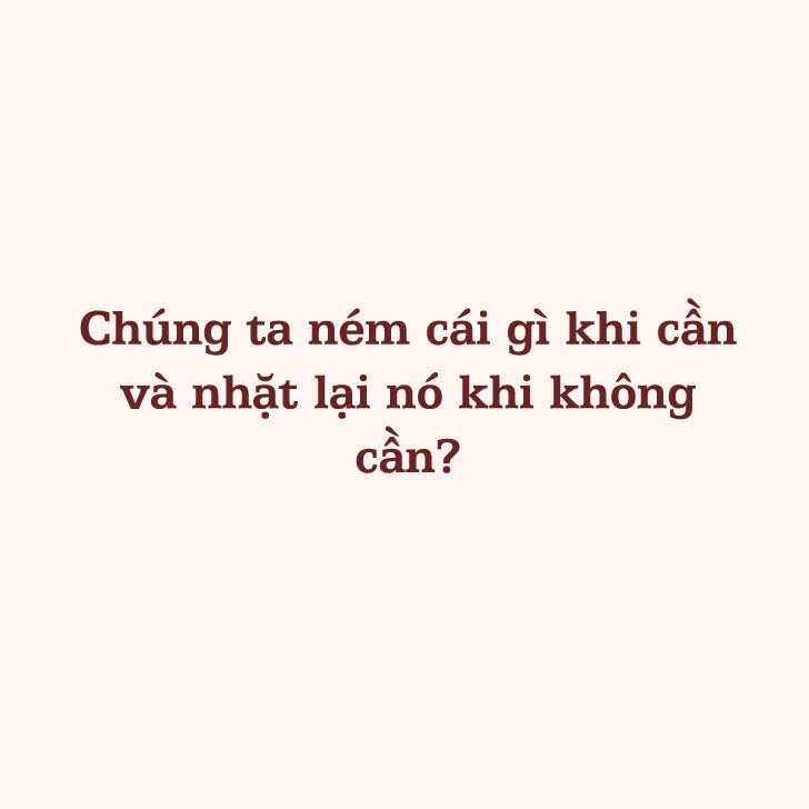 Câu đố 8