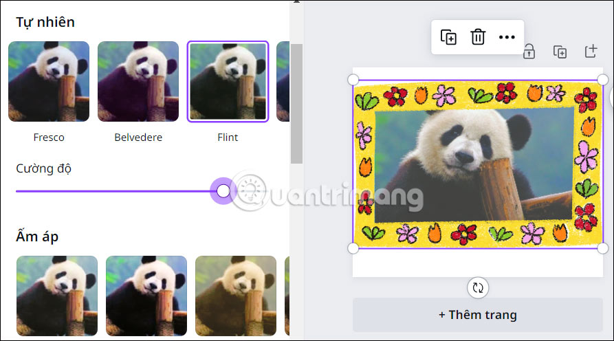 Chỉnh hiệu ứng ảnh trên Canva