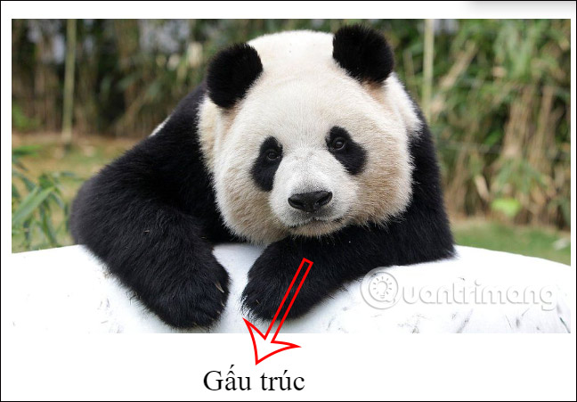 Viết chữ chèn dưới ảnh Google Docs