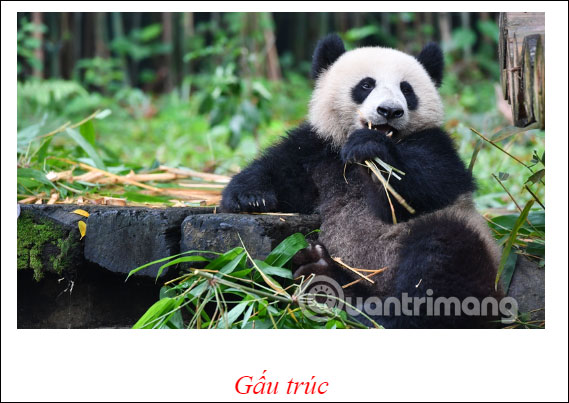 Ẩn viền bảng trên Google Docs