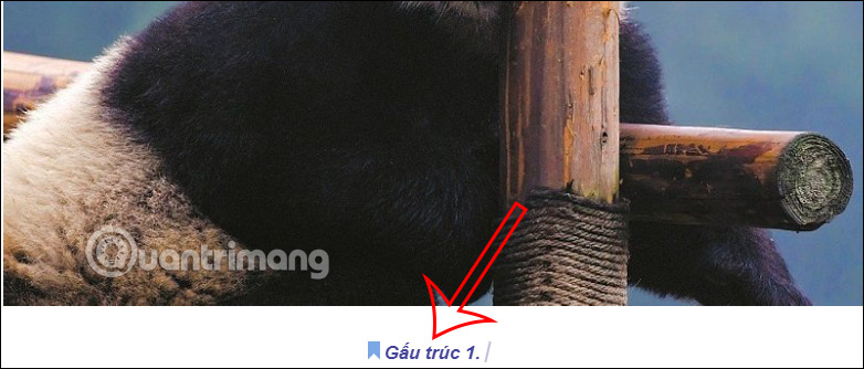 Hiện chú thích bằng Caption Maker trên Google Docs