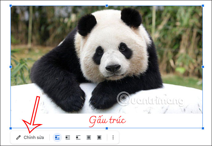 Chú thích ảnh trong bản vẽ trên Google Docs