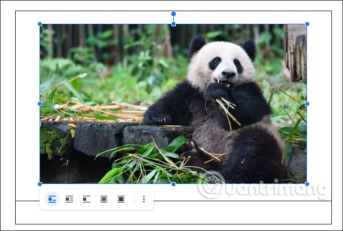 Chèn ảnh vào 1 ô bảng trên Google Docs