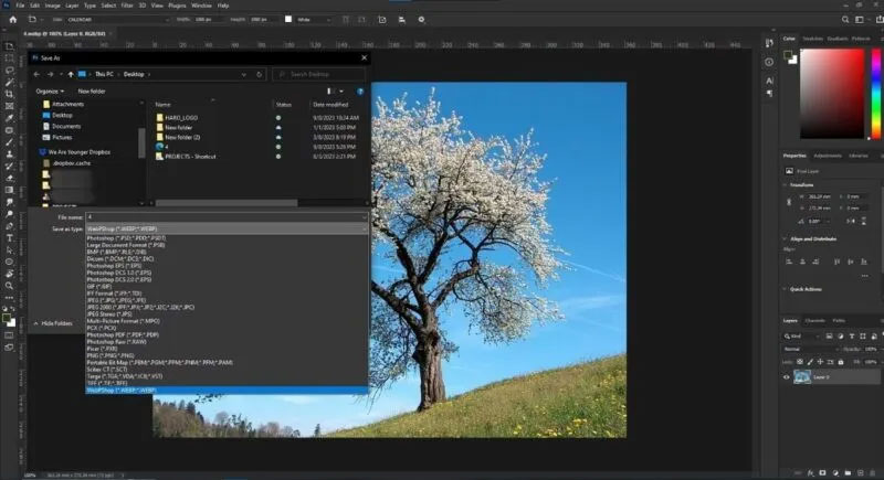 Chuyển đổi WEBP sang JPG bằng plugin WEBP Photoshop của Google