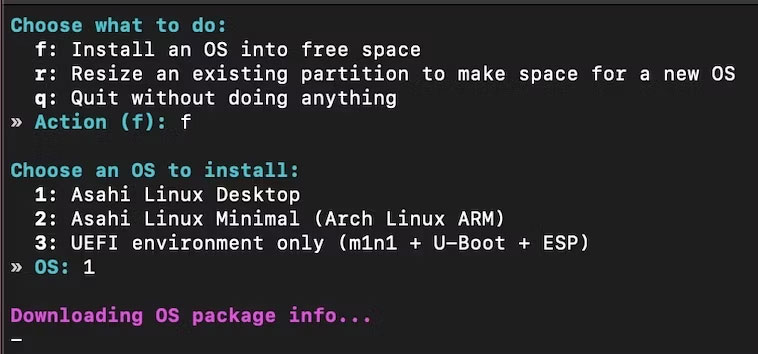 Trình cài đặt Asahi Linux với 3 tùy chọn có sẵn.