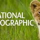Kênh National Geographic ngừng phát sóng tại Việt Nam