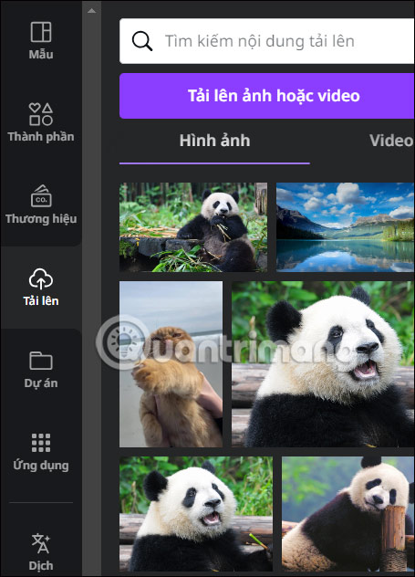 Tải ảnh cho thuyết trình