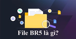 File BR5 là gì?