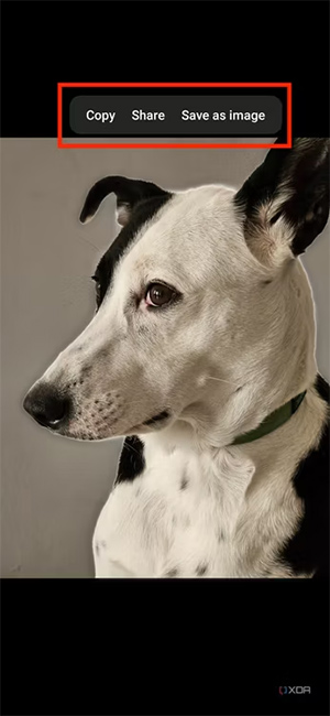 Lưu ảnh thành sticker trên Samsung