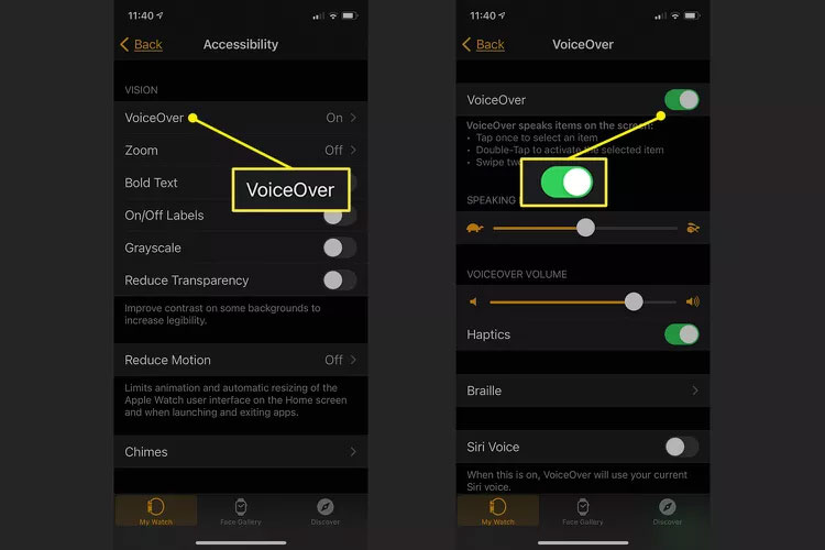 Tùy chọn trợ năng trong ứng dụng Apple Watch hiển thị các điều khiển VoiceOver