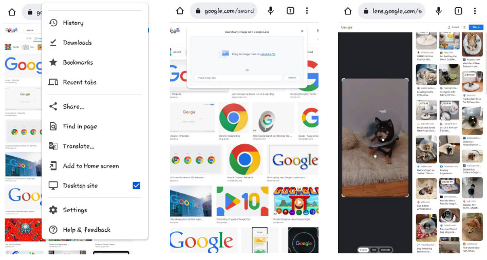 Tìm kiếm hình ảnh trực tiếp trên Google