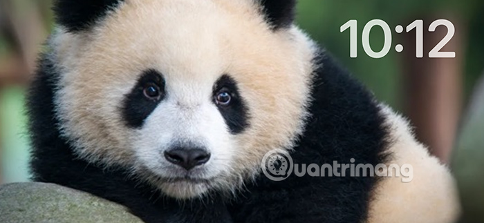 Hiện ảnh chế độ StandBy iPhone