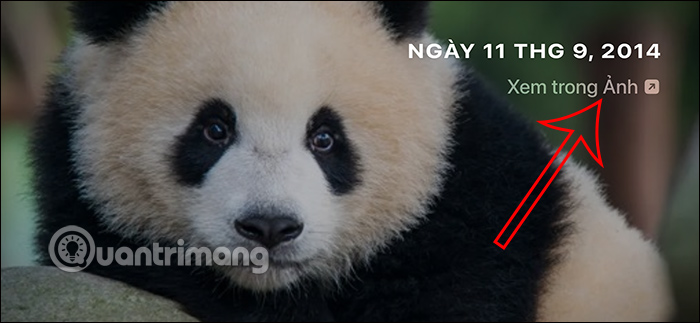 Xem Album ảnh trong chế độ StandBy iPhone