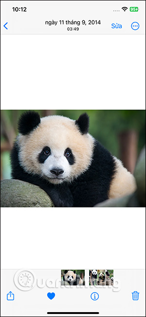 Album ảnh trên iPhone