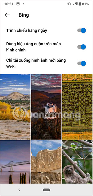Chỉnh hình nền trên Microsoft Launcher