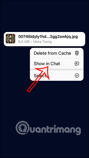 Hiển thị file trong đoạn chat trên Telegram