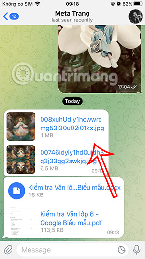 Tập tin trong Telegram