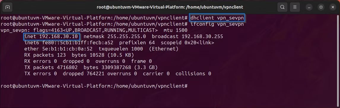 Linux terminal hiển thị yêu cầu IP client dhcp