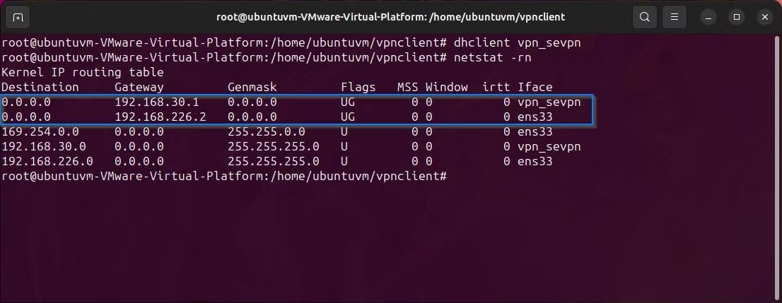 Linux terminal hiển thị kết quả của lệnh netstat rn và bảng định tuyến