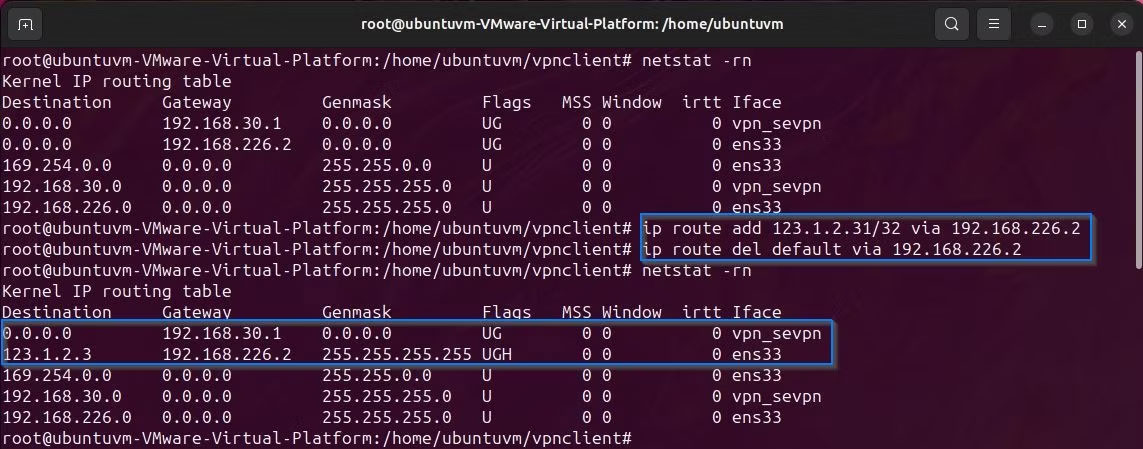 Linux terminal thêm tuyến cho Softether VPN