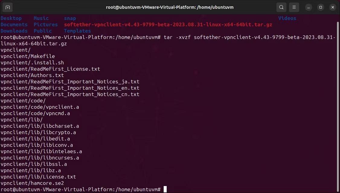 Linux terminal hiển thị trích xuất tarball và thực hiện lệnh cho SoftEther client vpn