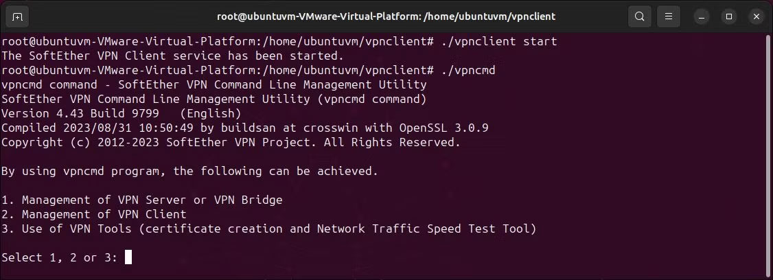 Linux terminal hiển thị lệnh khởi động VPN SoftEther client và vpncmd