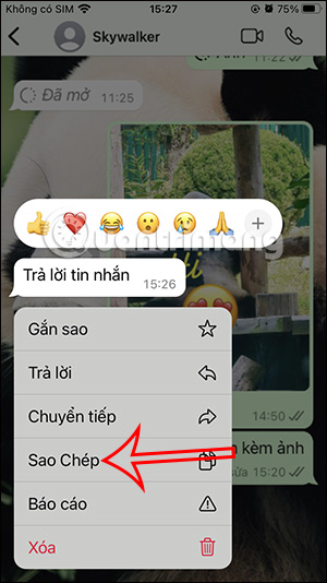 Sao chép tin nhắn trong WhatsApp