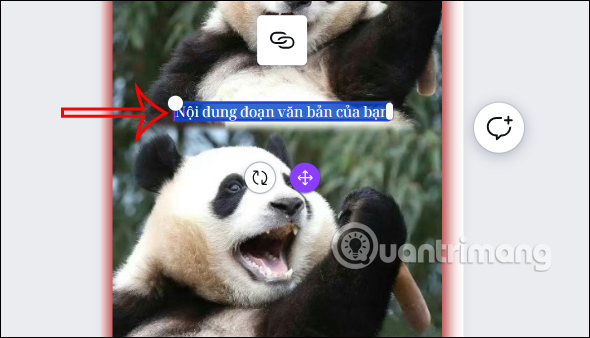 Nhập văn bản trong thiết kế Canva