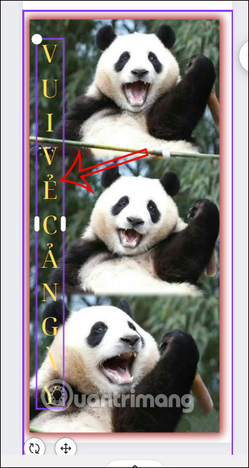 Viết chữ dọc trong Canva