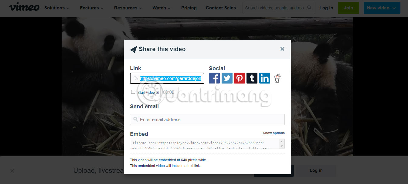Trường Link của video Vimeo