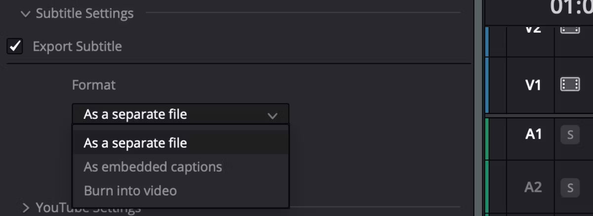 Tùy chọn Export Subtitle của DaVinci Resolve để xuất có phụ đề