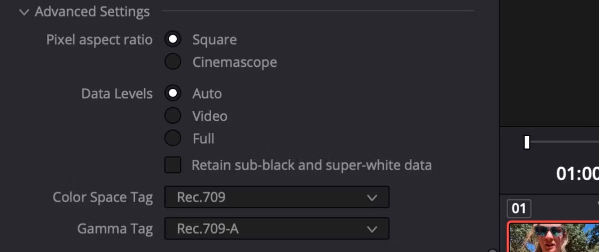 Các tùy chọn kết xuất của DaVinci Resolve cho Gamma Tag