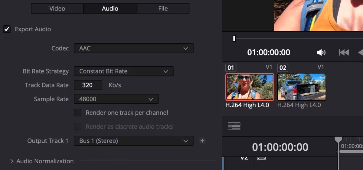Các tùy chọn kết xuất của DaVinci Resolve cho Audio
