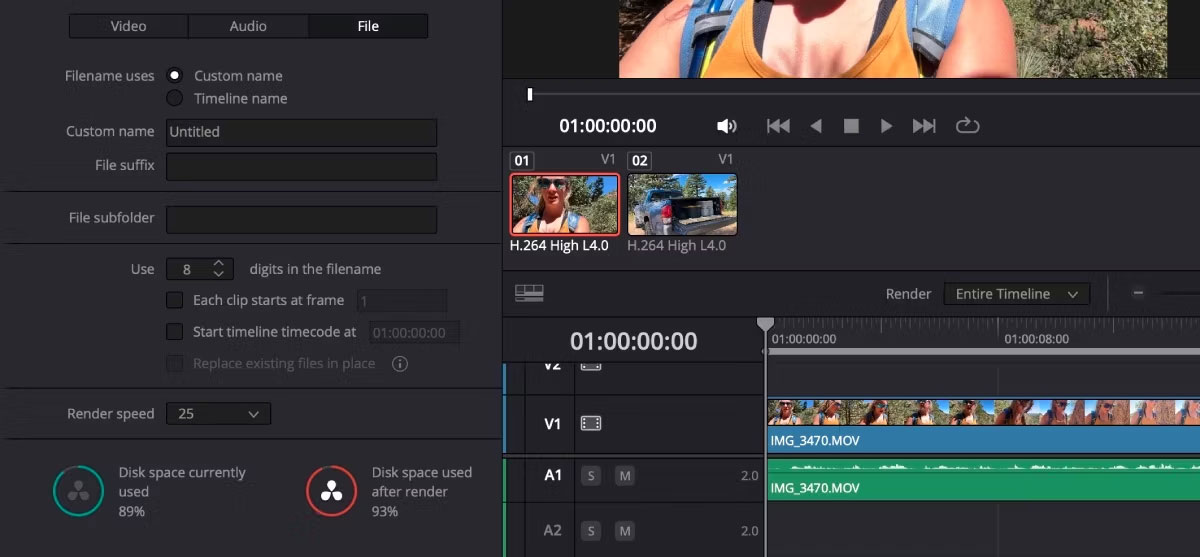 Các tùy chọn kết xuất của DaVinci Resolve cho File