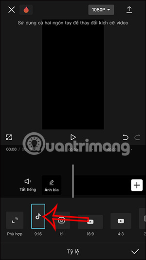 Chọn tỷ lệ video