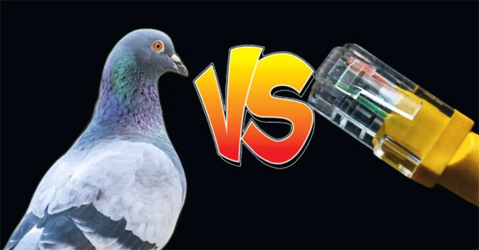 Internet nông thôn Mỹ 'chậm hơn bồ câu đưa thư'