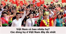 Việt Nam có bao nhiêu họ? Các dòng họ ở Việt Nam đầy đủ nhất