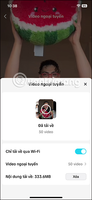 Xem video TikTok ngoại tuyến