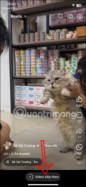 Thông báo chuyển video Facebook Reels kế tiếp