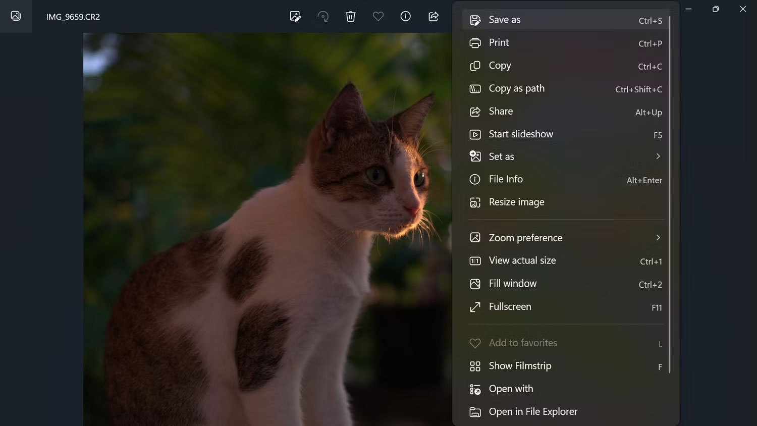 Chuyển đổi ảnh RAW thành TIFF bằng Image Viewer