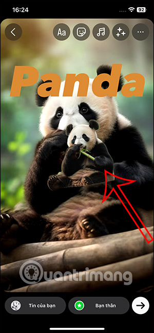 Chỉnh chủ thể