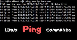 Cách sử dụng lệnh Ping trong Linux