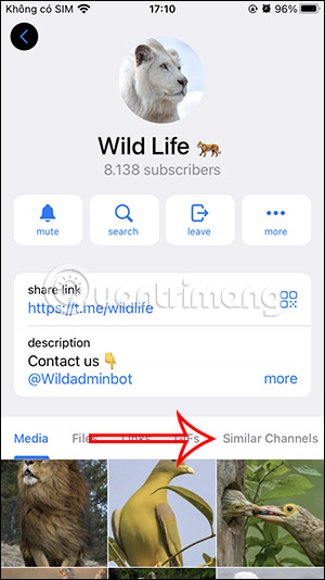 Kênh tương tự Telegram