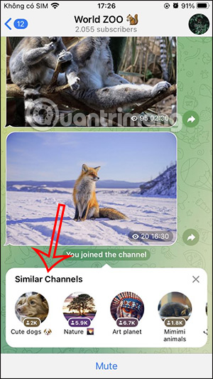 Hiển thị kênh Telegram tương tự
