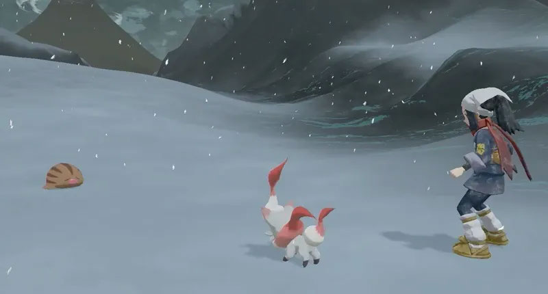 Chơi Pokemon trên Nintendo Switch.