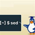 Cách sử dụng lệnh sed trong Linux