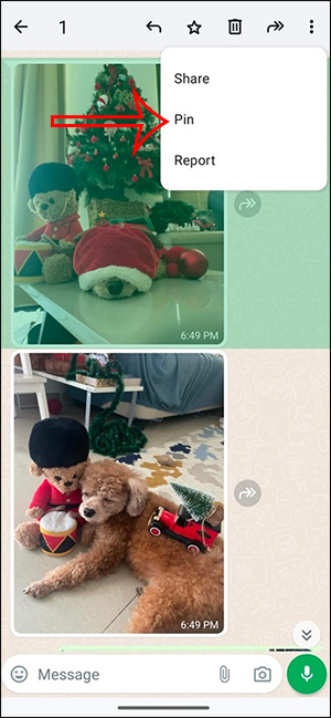 Ghim tin nhắn WhatsApp