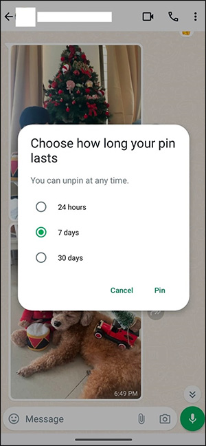 Thời gian ghim tin nhắn WhatsApp